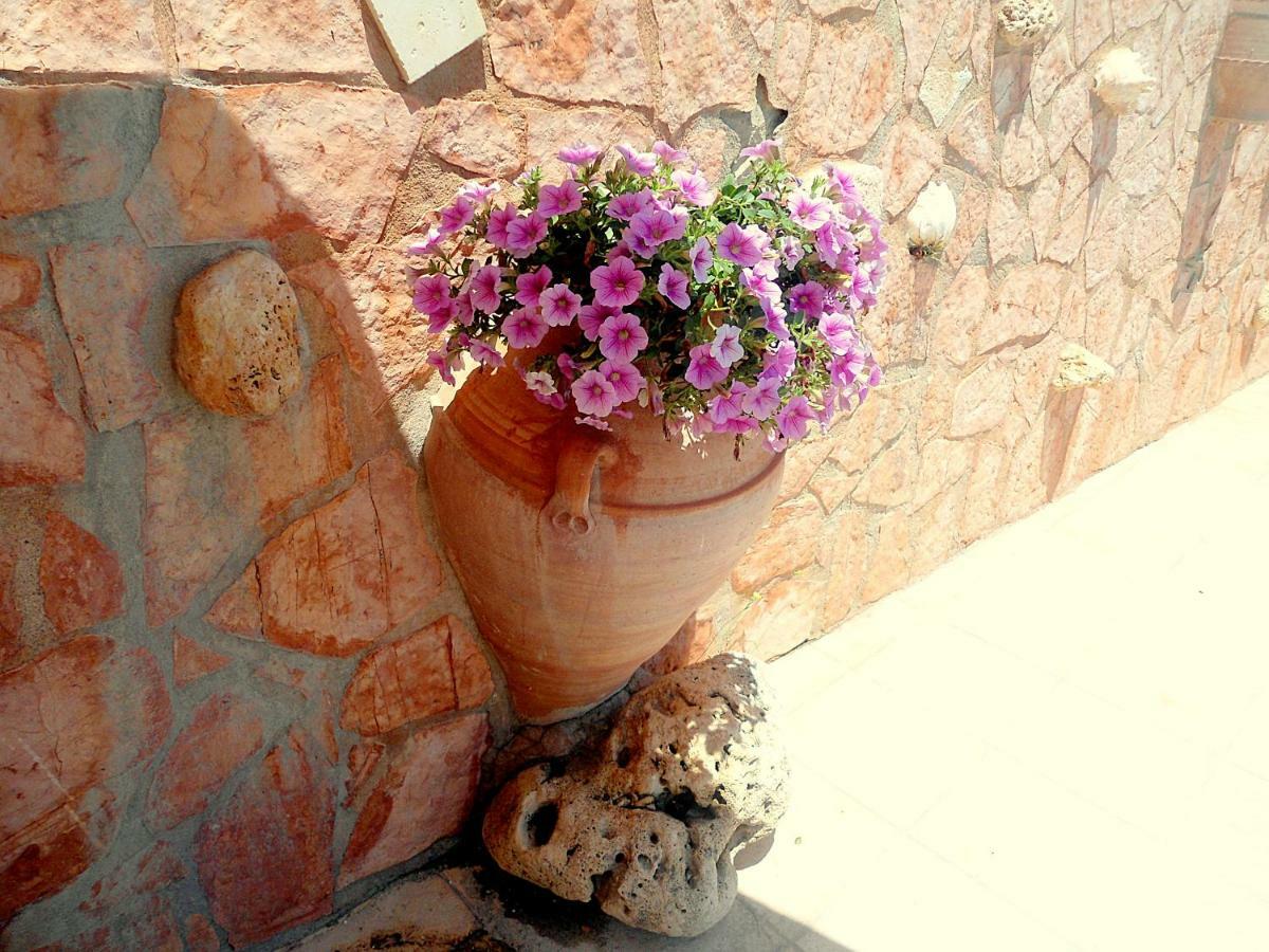 Aloe Villa Chania Crete Georgioupoli Ngoại thất bức ảnh